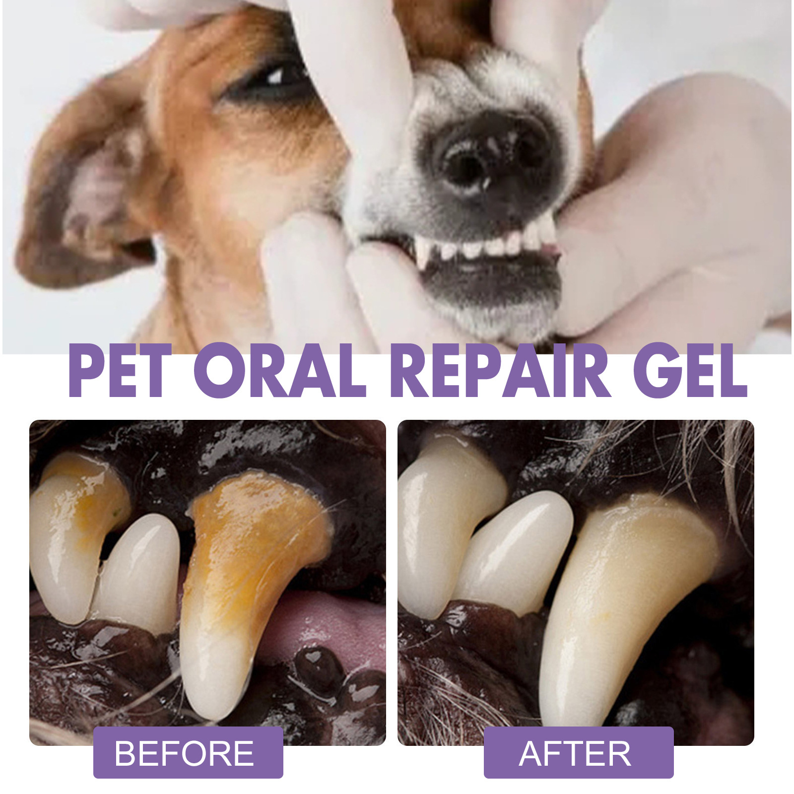 Pet Oral Repair Gel Puppy Tart - Teeth Whitening Q&M ulasan dan harga