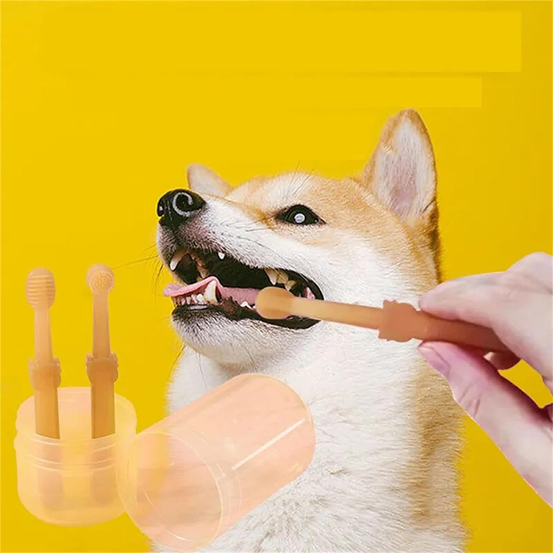 Teeth Whitening Dog Cat Silico - Teeth Whitening Toothbrush ulasan dan harga